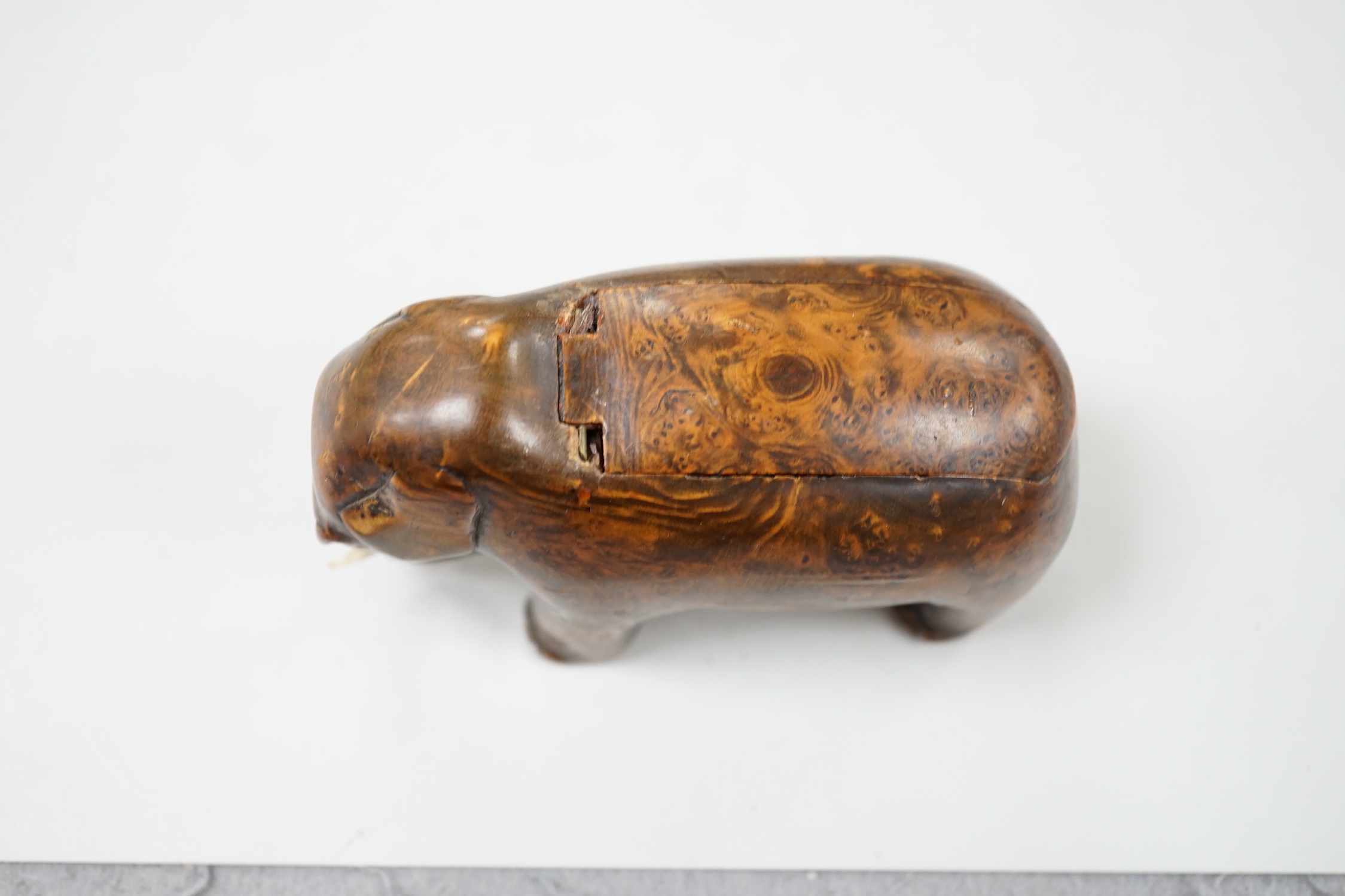 A 19th century burr wood ‘elephant’ snuff box, 11cm wide